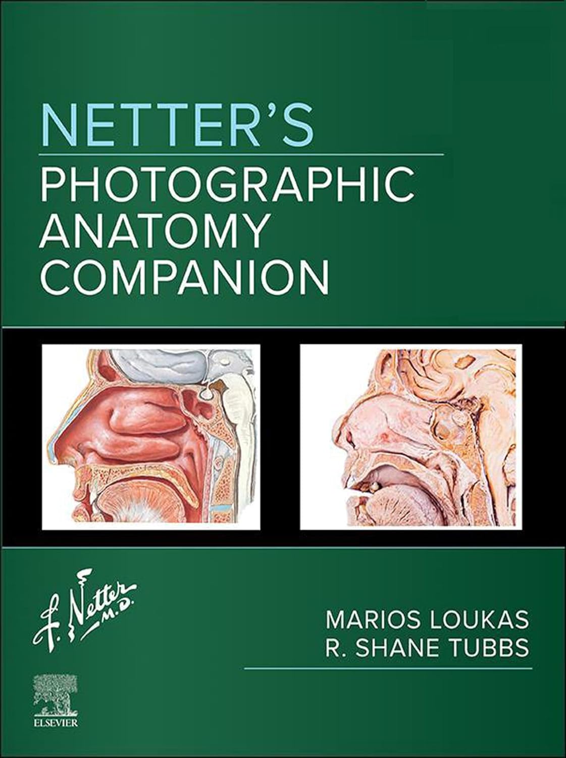 Netter's Photographic Anatomy Companion 2025