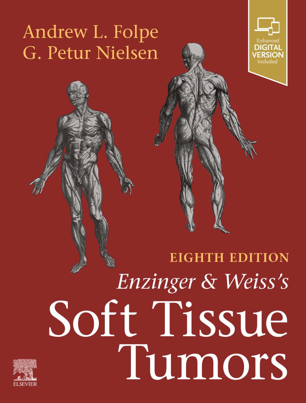 Soft Tissue Tumors Premium Multicolor Mate