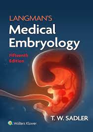 LANGMAN Medical Embryology 15th Edition